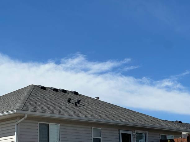 Best Steel Roofing  in Wellington, CO